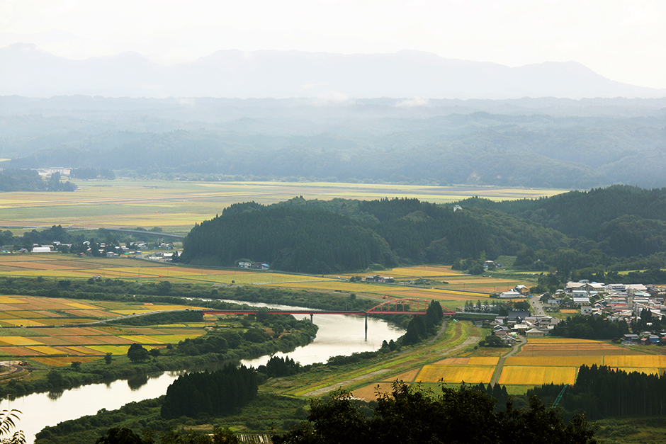 秋田市雄和産あきたこまち清流米 ふるさと納税