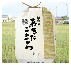 �H�c���Y���������܂�